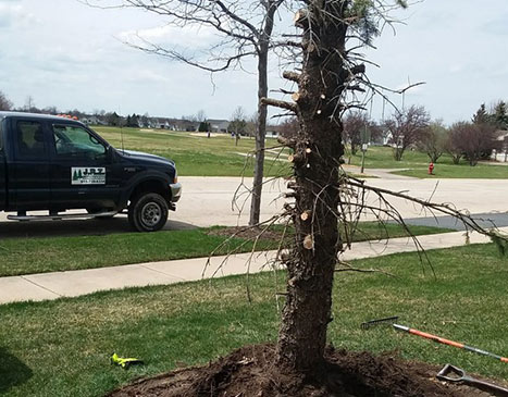 JRZ Landscaping Inc.