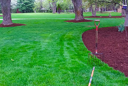 Landscaping