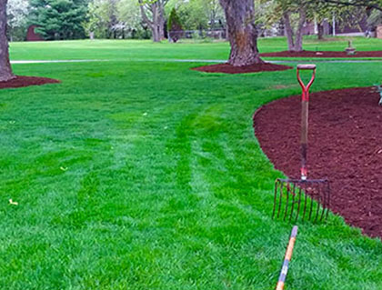 Landscaping